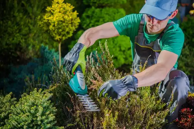landscaping services Holiday Lakes